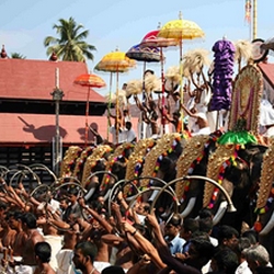 Festival Cochin