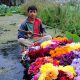 voyage sur mesure en Inde