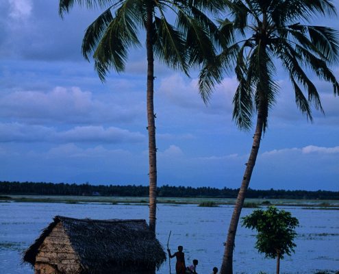 La vérité des backwaters au kerala