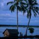 La vérité des backwaters au kerala
