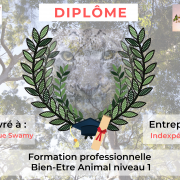 bien-être animal