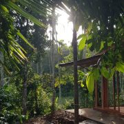Voyage sur mesure Inde