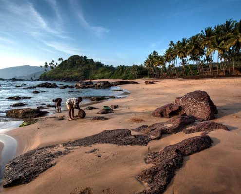 Voyage sur mesure en Inde