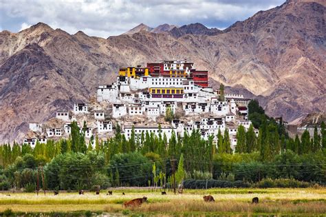 Voyage sur mesure en Inde
